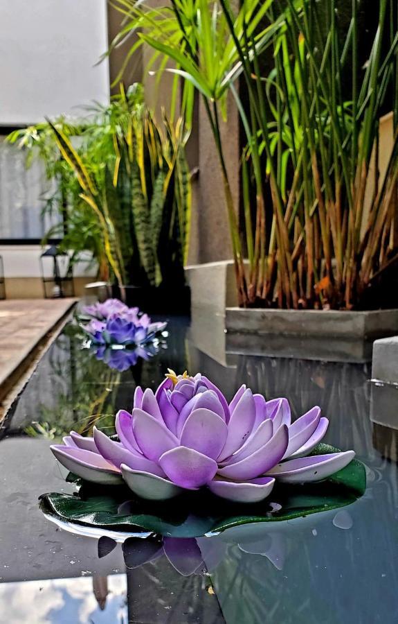 Mg Design Hotel Boutique (Adults Only) サルタ エクステリア 写真